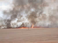 4:24pm Whirlwind creates fire spout in Brooks Field.